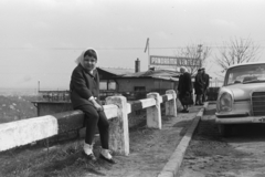 Magyarország, Budapest XI., Balatoni út a kamaraerdei kanyarnál, háttérben a Panoráma Vendéglő., 1969, Chuckyeager tumblr, Budapest, Fortepan #175686