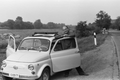 1969, Chuckyeager tumblr, Fiat-márka, rendszám, Fiat 500, Fiat 600, Fortepan #175795