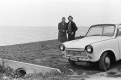 1977, Chuckyeager tumblr, Trabant 601, rendszám, Fortepan #175958