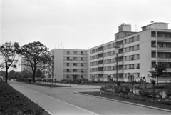 Románia, Bukarest, Aleea Circului a Cirkusz (Circul Metropolitan Bucuresti) irányából nézve., 1962, Chuckyeager tumblr, Fortepan #176113