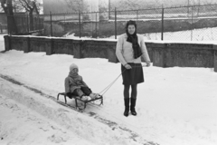 1952, Chuckyeager tumblr, winter, snow, sledge, fence, Haidekker-brand, Fortepan #176347