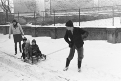 1952, Chuckyeager tumblr, winter, snow, sledge, fence, Haidekker-brand, Fortepan #176348