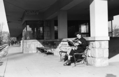 Magyarország, Hűvösvölgy, Budapest II., a Gyermekvasút (Úttörővasút) végállomása., 1957, Chuckyeager tumblr, Gyermekvasút, Budapest, újság, zománctábla, olvasás, pad, Fortepan #176384