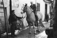 Magyarország, Sopron, a felvétel az Újteleki utca 21. számú ház udvarán készült., 1958, Chuckyeager tumblr, lovas, Fortepan #176397