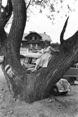 Magyarország, Szentendre, Lajosforrás turistaközpont, Ságvári Endre turistaház., 1961, Chuckyeager tumblr, ÁMG-márka, ÁMG 407, Opel Olympia 1950, Fortepan #176523