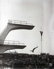 Magyarország, Margitsziget, Budapest, Hajós Alfréd Nemzeti Sportuszoda., 1938, Bojár Sándor, műugrás, Fortepan #177085