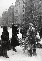 Magyarország, Budapest V., Belgrád (Ferenc József) rakpart, háttérben jobbra a Sörház utca torkolata., 1936, Bojár Sándor, tél, hó, karácsonyfa, Budapest, Fortepan #177203