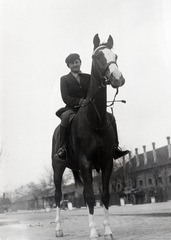 Magyarország, nagybaconi Keresztes Erzsébet úrlovas hölgy, kilencszeres magyar bajnok díjugratásban., 1939, Bojár Sándor, híres ember, lovaglás, Fortepan #177302