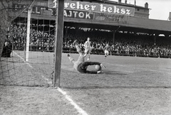 Magyarország, Budapest VIII., MTK pálya, háttérben a BSZKRT (később BKV Előre) pálya lelátója., 1940, Bojár Sándor, labdarúgás, sportpálya, Budapest, MTK, fotózás, Dreher-márka, kapus, Fortepan #177315