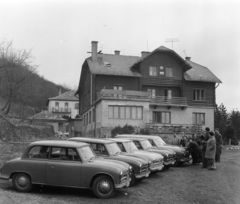 Magyarország, Szentendre, Lajosforrás turistaközpont, Ságvári Endre turistaház., 1960, Bojár Sándor, AWZ P70 Zwickau, automobil, Fortepan #177410