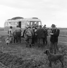 Magyarország, Tápiószele, a felvétel a VI-os számú Autójavító Vállalat vadásztársaságának nyúlvadászatán készült., 1960, Bojár Sándor, kutya, vadászat, Fortepan #177563