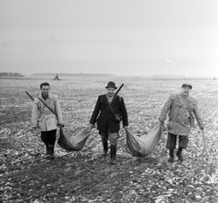 Magyarország, Üllő, élő nyúl befogás a Magnezitipari Művek vadásztársaságának területén., 1965, Bojár Sándor, Fortepan #177591