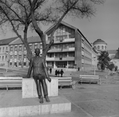 Magyarország, Eger, Hatvani kapu (Gárdonyi) tér Gárdonyi Géza szobra (Somogyi Árpád, 1965.), háttérben a Főszékesegyház kupolája., 1967, Bojár Sándor, Fortepan #177719