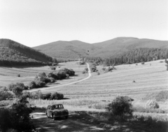 Hungary, Kóspallag, Királyréti út, a távolban a Kisinóci turistaház., 1965, Bojár Sándor, Fortepan #177756