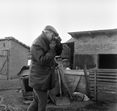 Magyarország, Ercsi, Henri Cartier-Bresson francia fotóművész disznóvágáson., 1964, Bojár Sándor, Fortepan #177782