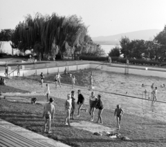 Magyarország, Vác, strand, háttérben a Duna., 1964, Bojár Sándor, strand, Fortepan #177944