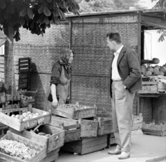 Magyarország, Nagykőrös, Kálvin tér, piac., 1965, Bojár Sándor, Fortepan #177988