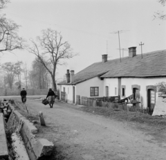 Magyarország, Tatabánya, 1964, Bojár Sándor, Fortepan #178148