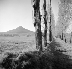 Magyarország, Tapolca, a Tapolcai-medence Tapolca felől, a háttérben balra a Gulács., 1966, Bojár Sándor, Fortepan #178160