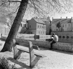 Magyarország, Tapolca, Malom-tó., 1966, Bojár Sándor, Fortepan #178162