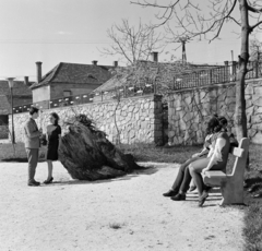 Magyarország, Tapolca, a Malom-tó partja, háttérben a Batsányi János utca házai láthatók., 1966, Bojár Sándor, Fortepan #178164