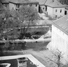 Magyarország, Tapolca, kilátás a Nagyboldogasszony-templom tornyából a Kis-tó felé, jobbra a malom a Malom-tó kifolyásánál., 1966, Bojár Sándor, Fortepan #178168