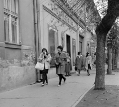 Magyarország, Szekszárd, Széchenyi utca 30., Gyógyszertár., 1964, Bojár Sándor, Fortepan #178191