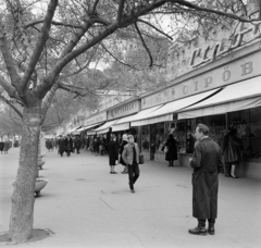 Magyarország, Szekszárd, Szent István tér (Mártírok tere), Korzó sor, szemben a Kaszinó bazár., 1964, Bojár Sándor, Fortepan #178195