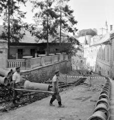 Magyarország, Veszprém, Toborzó utca., 1967, Bojár Sándor, építkezés, utcakép, terasz, csatornázás, fenyőfa, Fortepan #178203