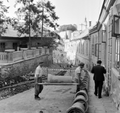 Magyarország, Veszprém, Toborzó utca., 1967, Bojár Sándor, építkezés, utcakép, terasz, csatornázás, fenyőfa, Fortepan #178207