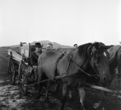 Magyarország, Tapolca, 1968, Bojár Sándor, szekér, Fortepan #178235