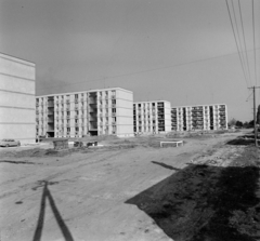 Magyarország, Szombathely, Derkovits lakótelep, Szűrcsapó utca a Szabó Miklós utcától a Paragvári utca felé nézve., 1965, Bojár Sándor, lakótelep, Fortepan #178345