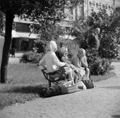 Magyarország, Szombathely, Fő (Köztársaság) tér, háttérben a 23. és 24. számú ház., 1965, Bojár Sándor, Fortepan #178370