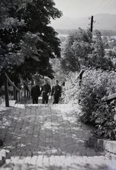 Magyarország, Verőce, (Nógrádverőce), a templom előtti kálvária-lépcső, háttérben a Duna., 1939, Kotnyek Antal, lépcső, kilátás, Fortepan #17838