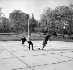 Magyarország, Budapest XII., Budapest XII., Apor Vilmos (Lékai János) tér, a megkezdett nagytemplom altemplomának födémszerkezete. Háttérben a Felső-krisztinavárosi Keresztelő Szent János plébánia épülete., 1968, Bojár Sándor, Budapest, Fortepan #178503