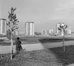 Bulgária, Szófia, a Vrah Tumba utca épületei a Hippodrom park felől., 1965, Bojár Sándor, Fortepan #178571