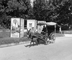 Bulgária, Aranyhomok, Várna, 1965, Bojár Sándor, szamár, Fortepan #178587