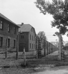 Lengyelország, Oświęcim, auschwitzi I. koncentrációs tábor., 1960, Bojár Sándor, Fortepan #178660