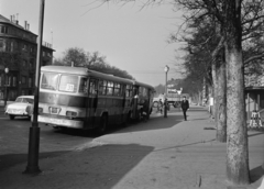 Magyarország, Budapest XIV., Stefánia (Népstadion) út a Thököly út kereszteződésétől a Városliget felé nézve., 1968, Bojár Sándor, Budapest, Fortepan #178834