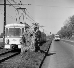 Magyarország, Budapest III., Szentendrei út a Reményi Ede utca felől a Záhony utca irányába nézve., 1965, Bojár Sándor, Budapest, HÉV, Fortepan #178855