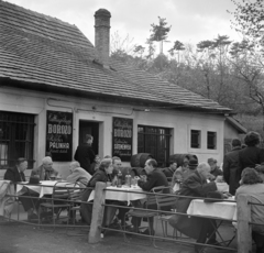 Magyarország, Budapest XII., Béla király út 42., a Csillagvölgyi borozó., 1961, Bojár Sándor, borozó, Budapest, Fortepan #178859