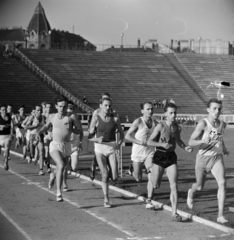 Magyarország, Népstadion, Budapest XIV., a Budapesti Spartacus nemzetközi atétikai versenye 1964. szeptember 5-én., 1964, Bojár Sándor, sport, futás, Budapest, Fortepan #179022