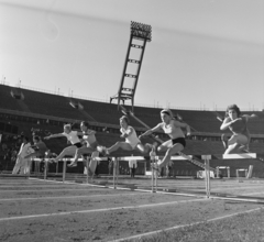 Magyarország, Népstadion, Budapest XIV., a Budapesti Spartacus nemzetközi atétikai versenye 1964. szeptember 5-én., 1964, Bojár Sándor, sport, atlétika, gátfutás, Budapest, Fortepan #179023