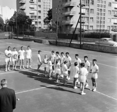 Magyarország, Városmajor, Budapest XII., Maros utca, háttérben a 34. és 36. számú ház. A felvétel a Kínai válogatott - VTSK teniszmérkőzés alkalmával, 1965. június 29-én készült., 1965, Bojár Sándor, Budapest, Fortepan #179041