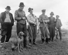 Magyarország, Tápiószele, a felvétel a VI-os számú Autójavító Vállalat vadásztársaságának nyúlvadászatán készült., 1960, Bojár Sándor, kutya, vadászat, vadászkutya, vadászfegyver, Fortepan #179052