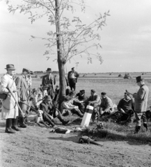 Magyarország, Tápiószele, a felvétel a VI-os számú Autójavító Vállalat vadásztársaságának nyúlvadászatán készült., 1960, Bojár Sándor, kutya, vadászat, vadászkutya, fácán, vadászfegyver, Fortepan #179054