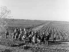 Magyarország, Tápiószele, a felvétel a VI-os számú Autójavító Vállalat vadásztársaságának nyúlvadászatán készült., 1960, Bojár Sándor, kutya, vadászat, vadászkutya, vadászfegyver, Fortepan #179055