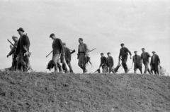 Magyarország, Pozsonyboldogfa, a felvétel a helyi vadásztársaság fácán- és nyúlvadászatán készült., 1964, Bojár Sándor, vadász, vadászat, nyúl, simléderes sapka, Fortepan #179251