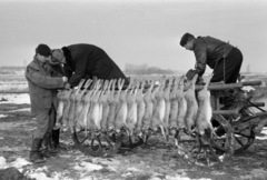 Magyarország, Alsónémedi, a felvétel a Külkereskedelmi Minisztérium vadásztársaságának körvadászatán készült., 1967, Bojár Sándor, Fortepan #179252