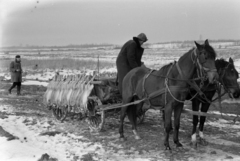 Magyarország, Alsónémedi, a felvétel a Külkereskedelmi Minisztérium vadásztársaságának körvadászatán készült., 1967, Bojár Sándor, Fortepan #179253